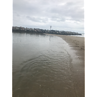 King tide Yorktown image